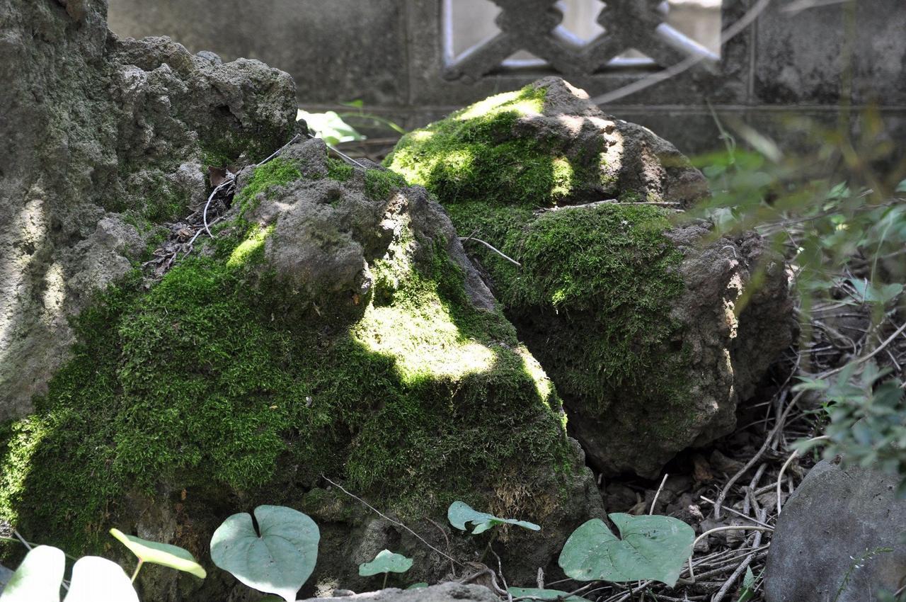 Chambre Dhote Tatami Suwa  Exterior foto