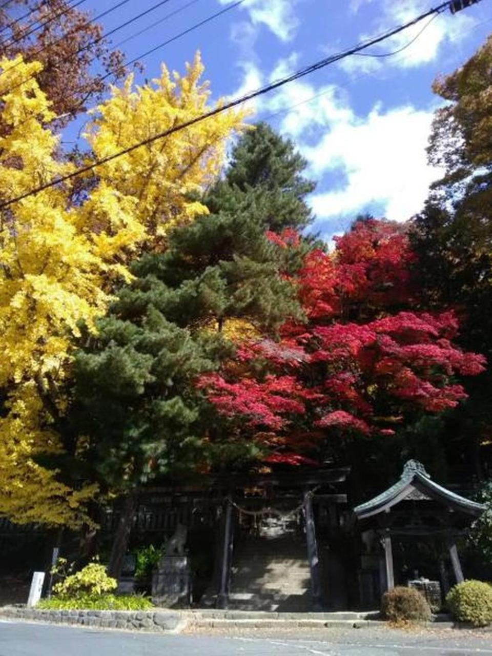 Chambre Dhote Tatami Suwa  Exterior foto